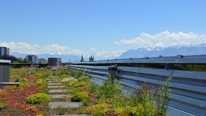 Biodiversitaet Biodiversitaet