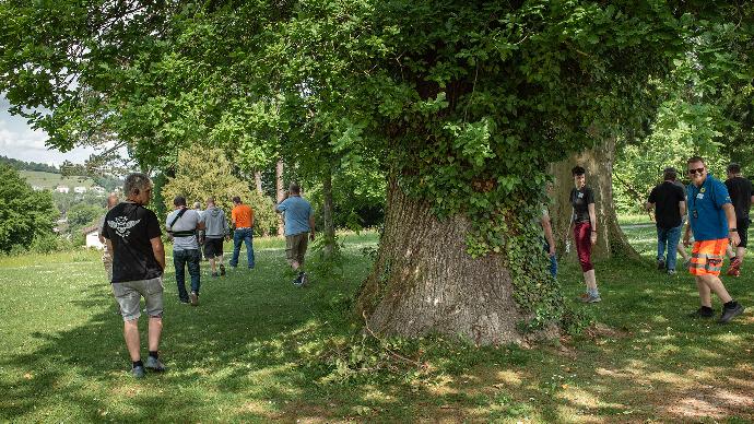 Gruenflaechen Gruenflaechen