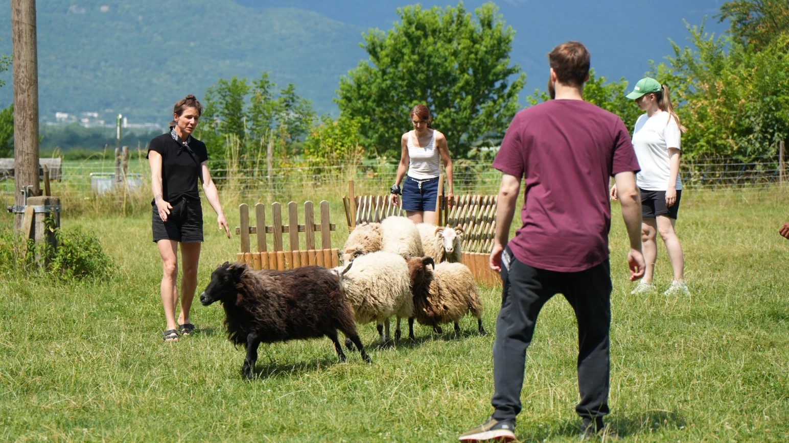 Course d’école au Valais